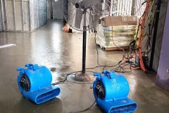 floor-fans-pedestal-fan